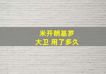 米开朗基罗 大卫 用了多久